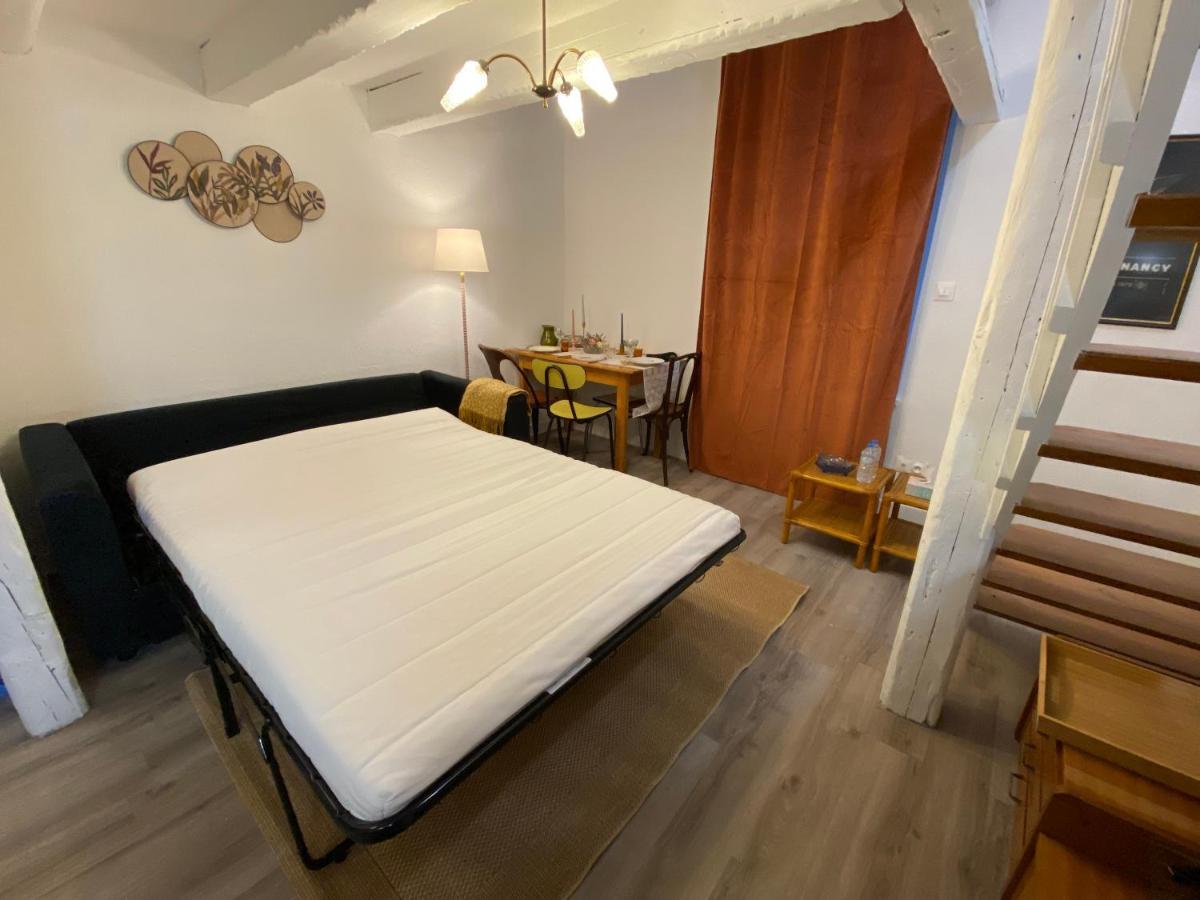 Les Cosy De Nancy - Le Duplex Vintage 4* Apartman Kültér fotó