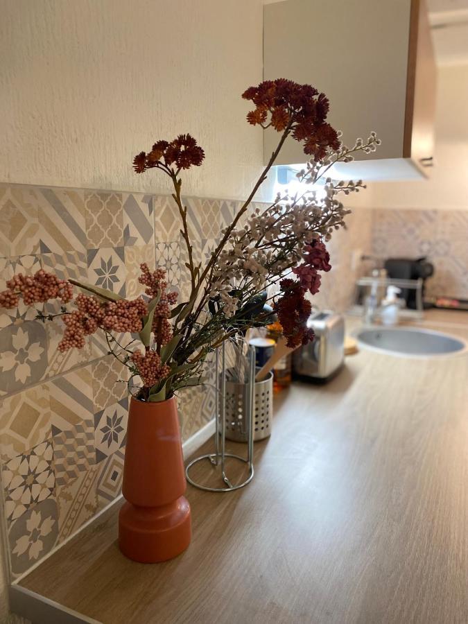 Les Cosy De Nancy - Le Duplex Vintage 4* Apartman Kültér fotó